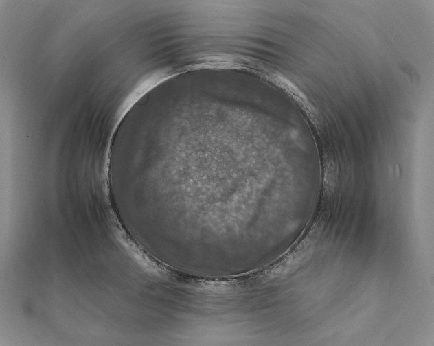 X0000112011378200908241445