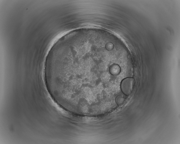 X0000112011379200908241445