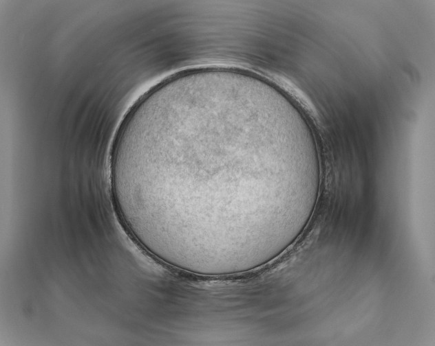 X0000112011380200908241445