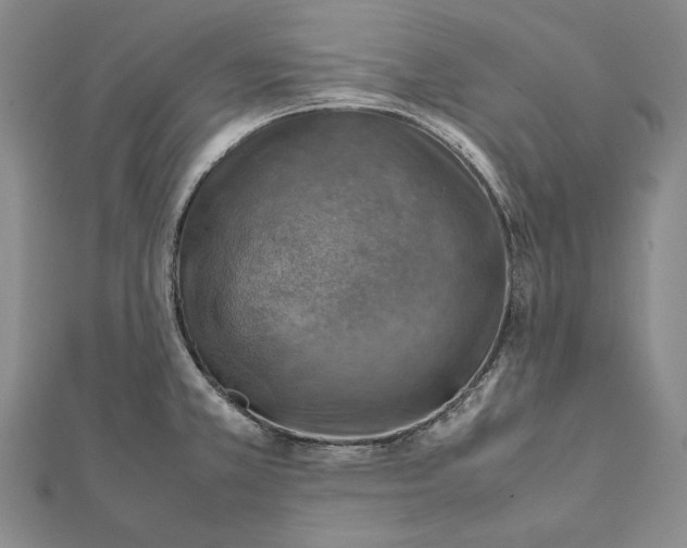 X0000112011381200908241445