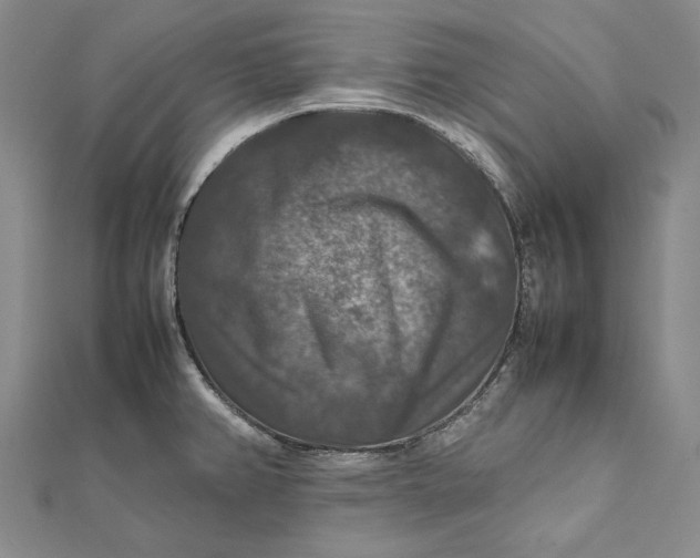 X0000112011382200908241445