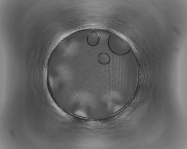 X0000112011383200908241445