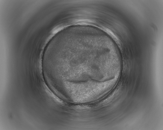 X0000112011384200908241445