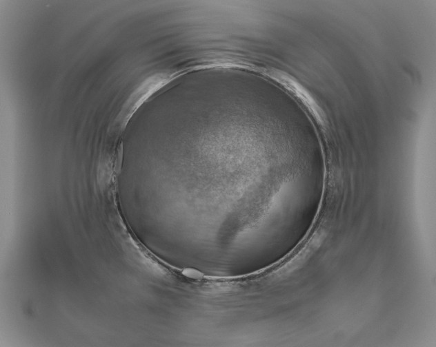 X0000112011385200908241445