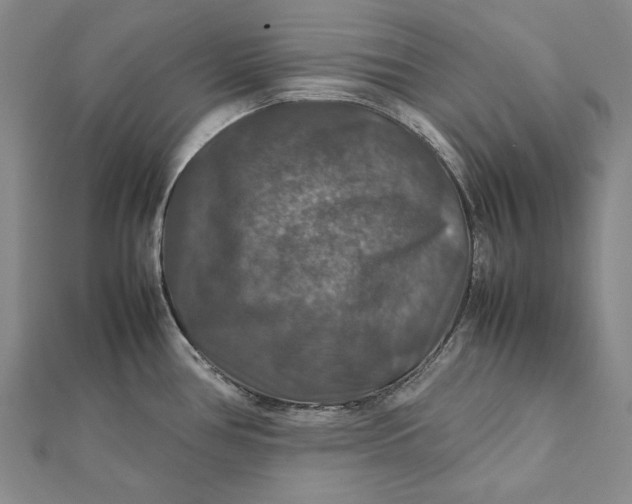 X0000112011386200908241445