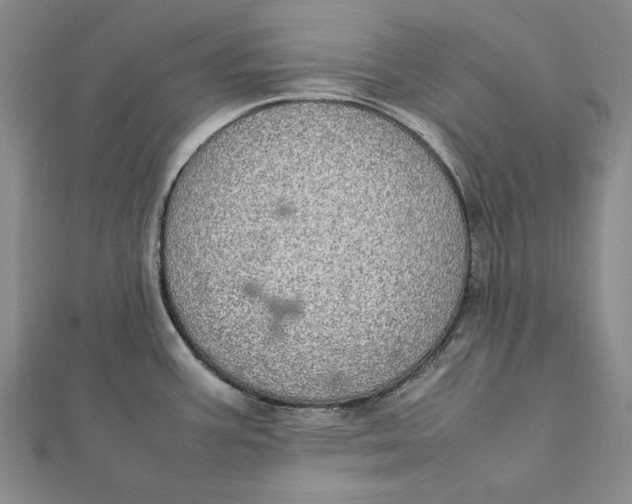 X0000112011387200908241445