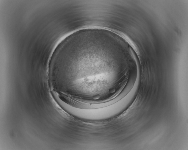 X0000112011388200908241445