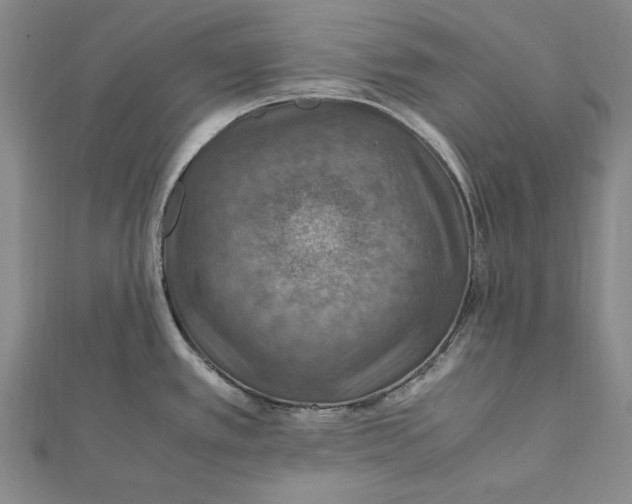 X0000112011389200908241445