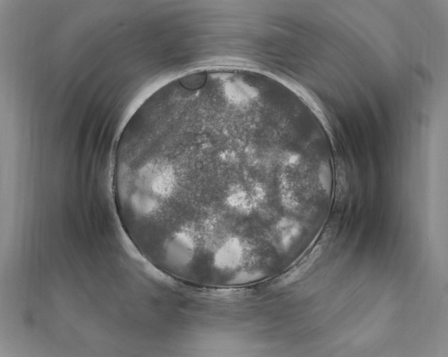 X0000112011390200908241445