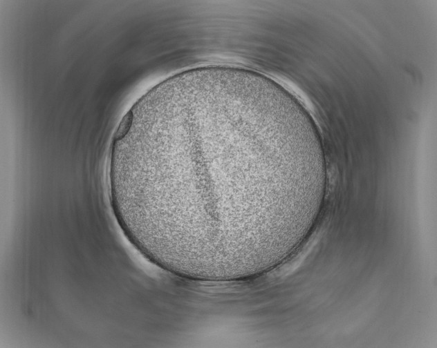 X0000112011391200908241445