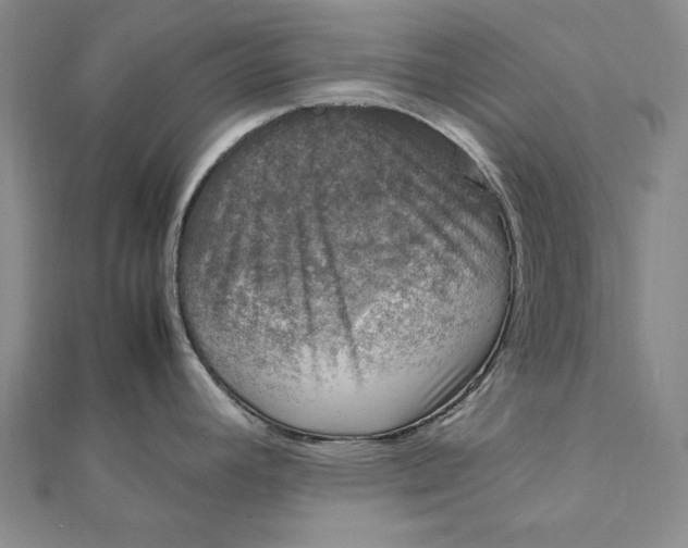 X0000112011392200908241445