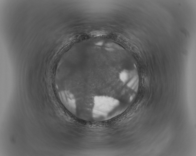 X0000112011393200908241444