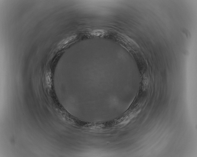 X0000112011394200908241444