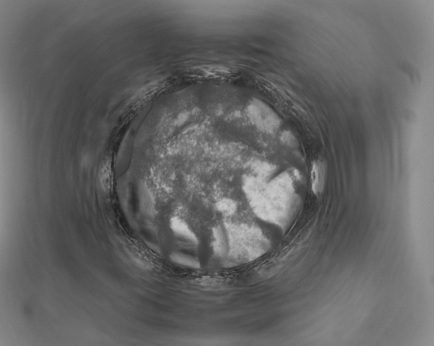 X0000112011395200908241444