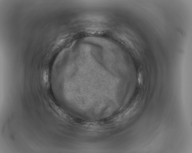 X0000112011396200908241444