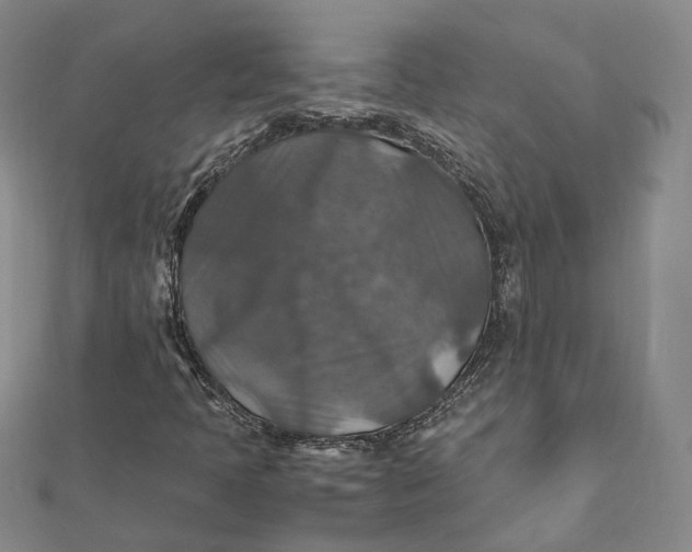 X0000112011397200908241444