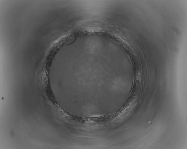 X0000112011398200908241444