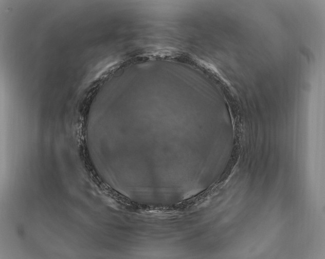 X0000112011399200908241444