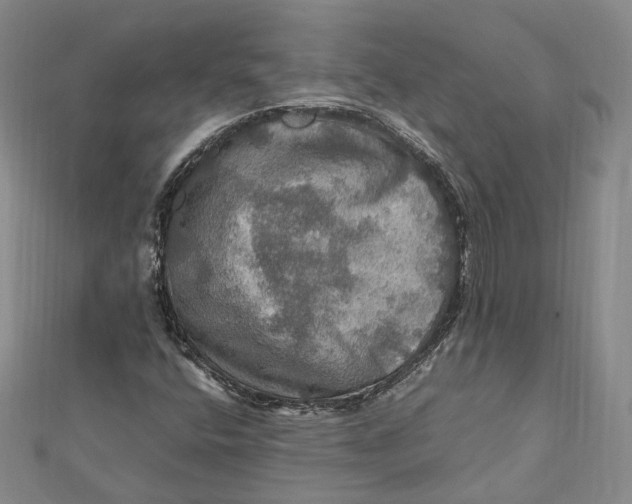 X0000112011400200908241444