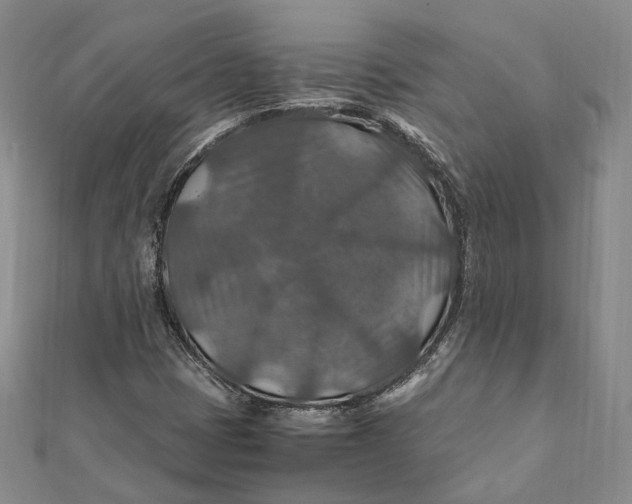 X0000112011401200908241444