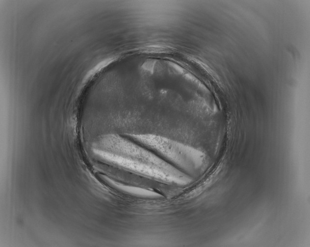 X0000112011402200908241444