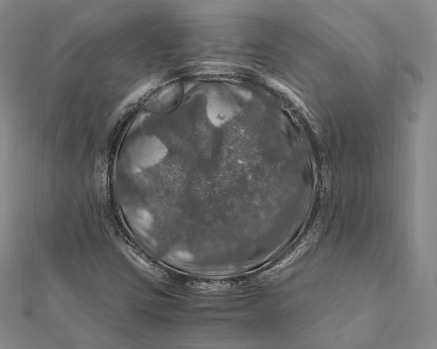 X0000112011403200908241445