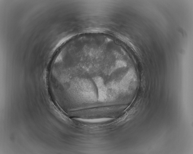 X0000112011404200908241445