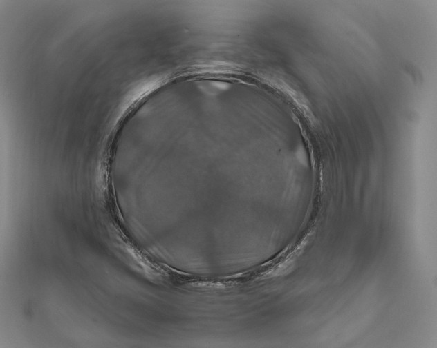 X0000112011405200908241445