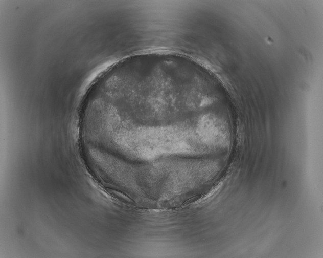 X0000112011406200908241445