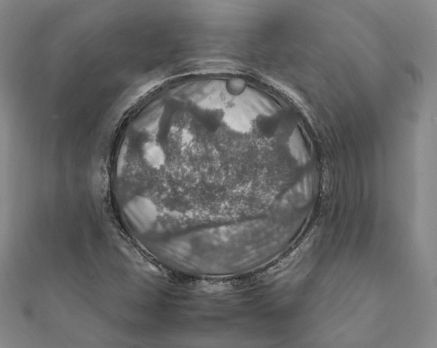 X0000112011407200908241445