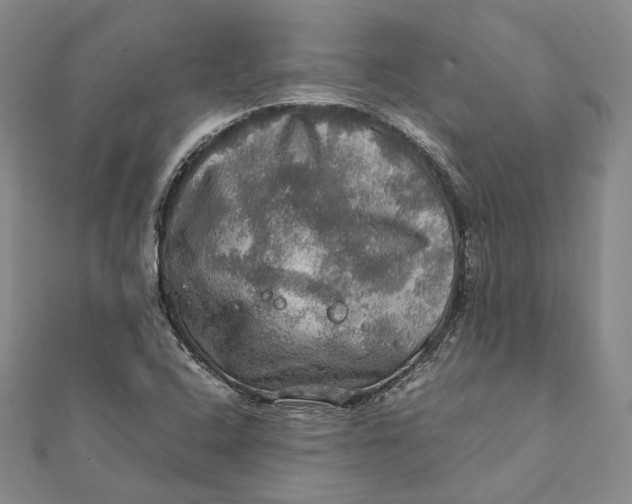 X0000112011408200908241445