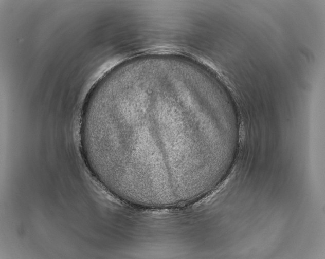 X0000112011410200908241445