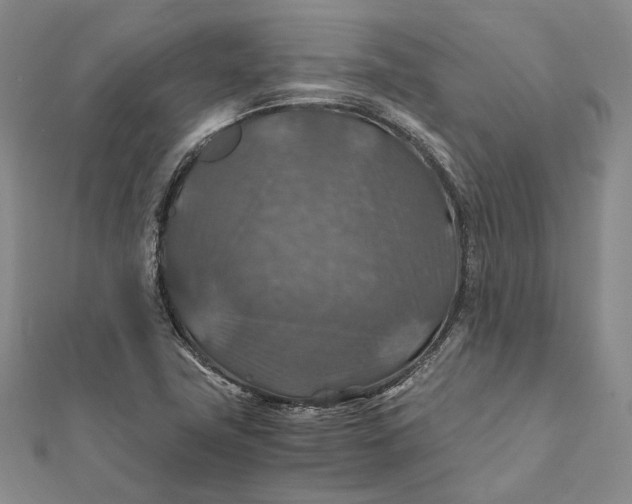 X0000112011411200908241445