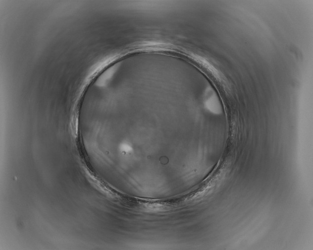 X0000112011413200908241445