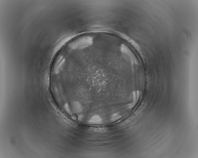 X0000112011415200908241445