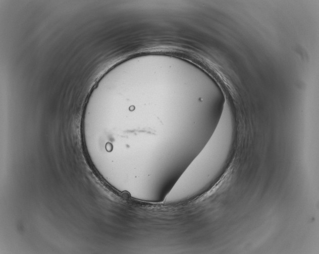 X0000112011417200908241445