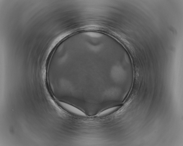 X0000112011418200908241445