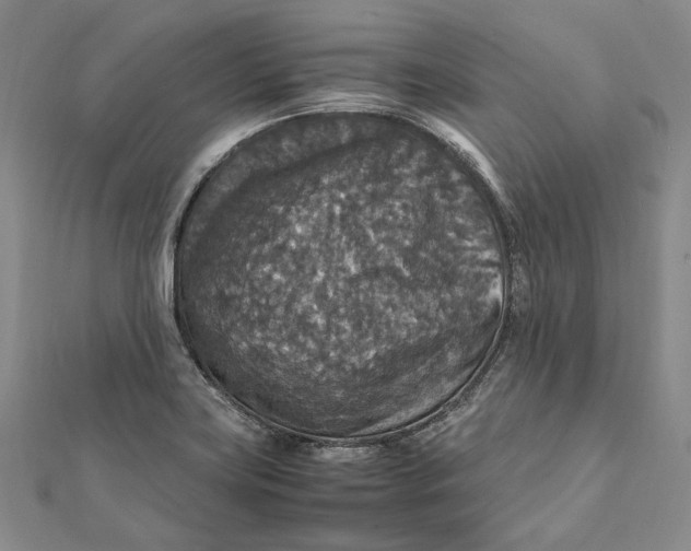 X0000112011419200908241445