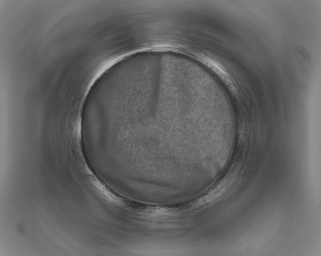 X0000112011420200908241445