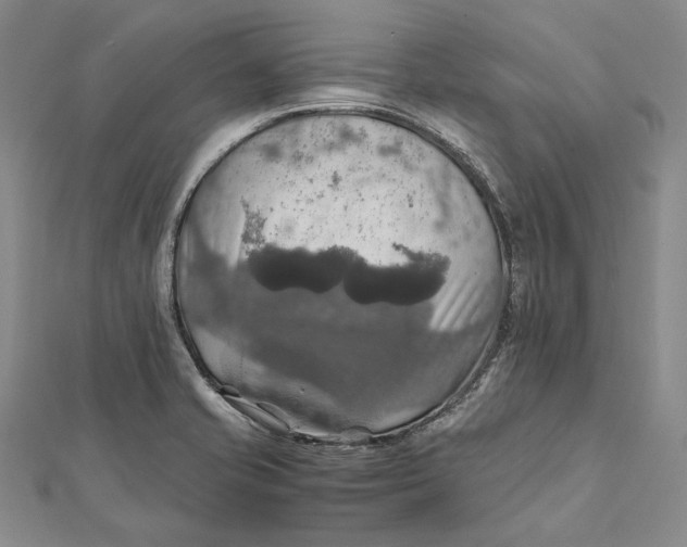 X0000112011421200908241445