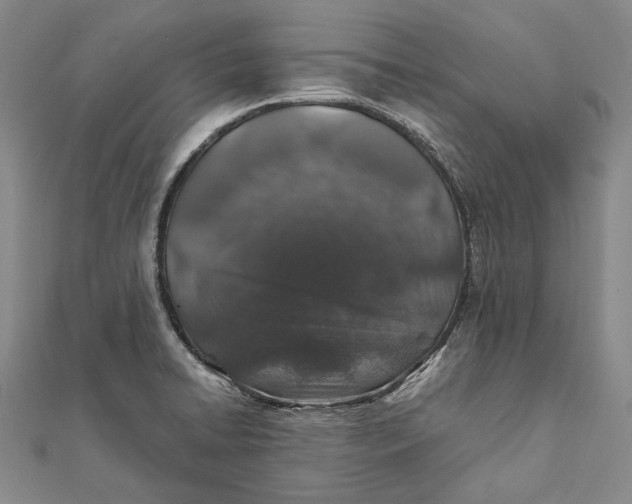 X0000112011422200908241445