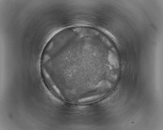 X0000112011423200908241445