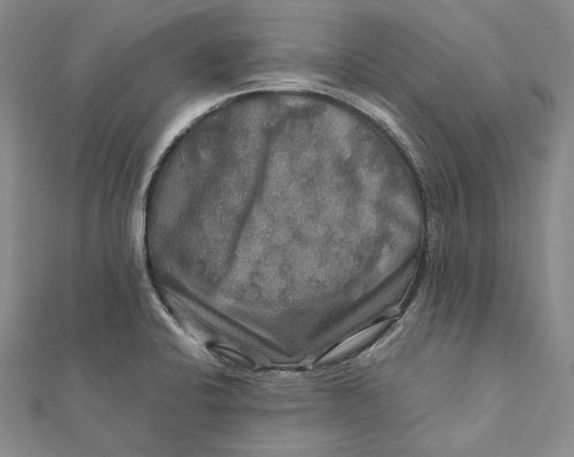 X0000112011424200908241445