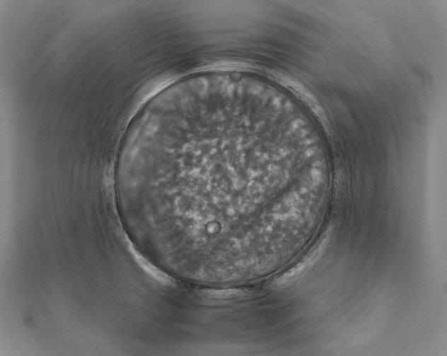 X0000112011425200908241445