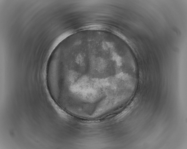 X0000112011426200908241445