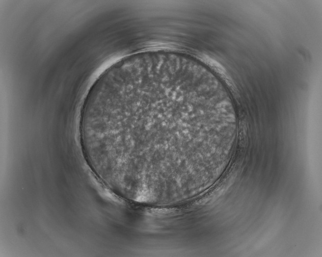 X0000112011427200908241445