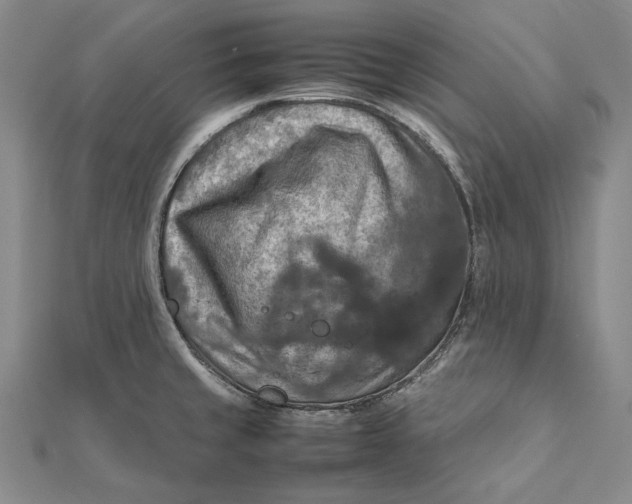 X0000112011429200908241445