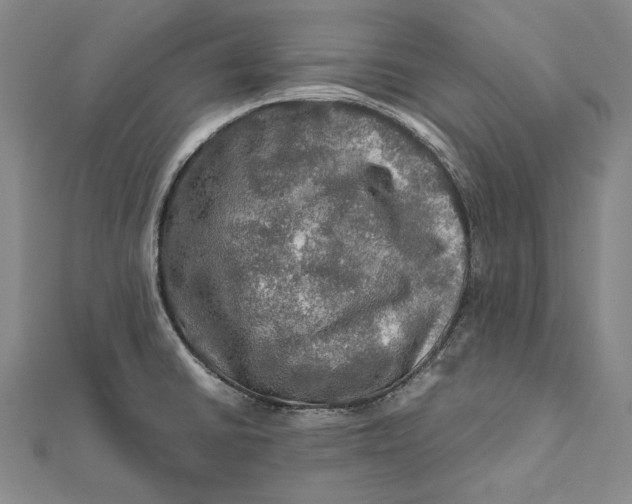 X0000112011430200908241445