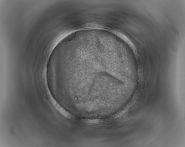 X0000112011431200908241445