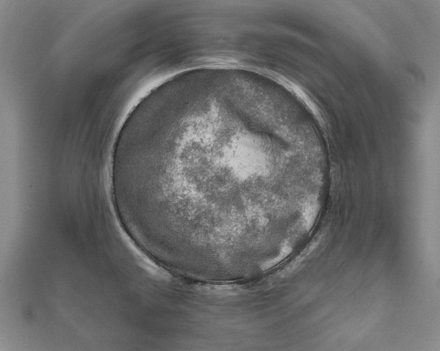 X0000112011432200908241445